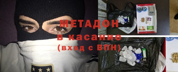 сатива Бородино